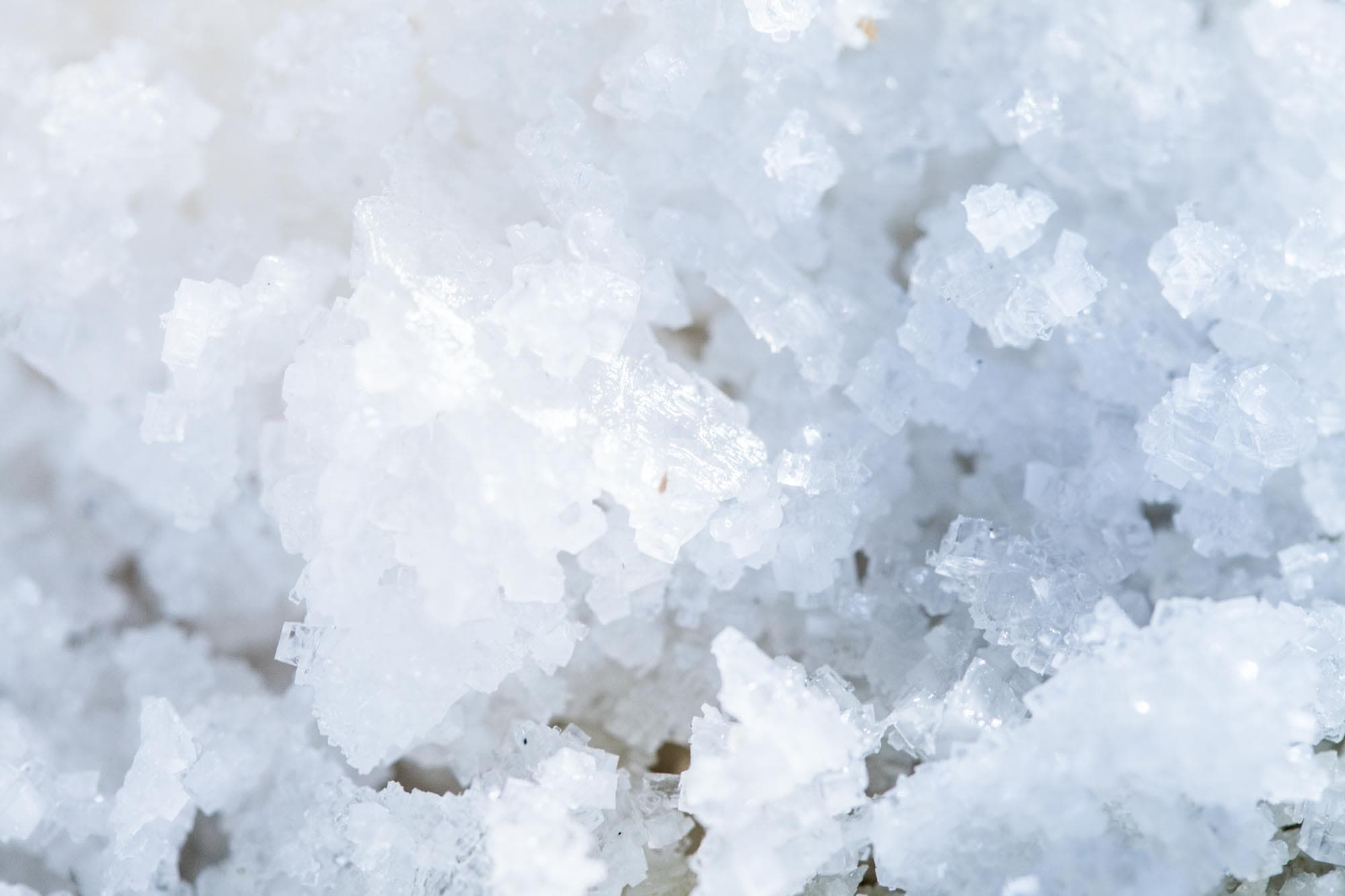 Gros plan sur des paillettes de fleur de sel