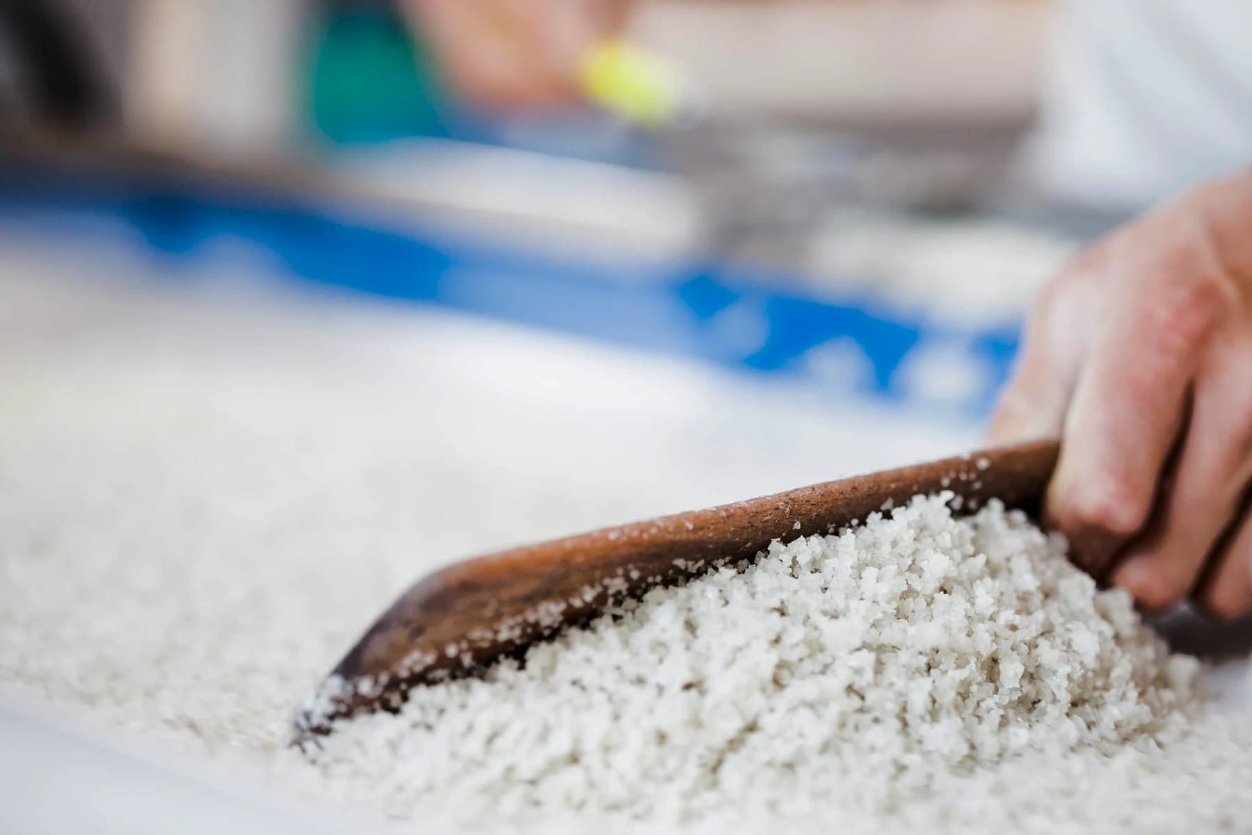 A hand scooping coarse grey salt with a wooden scoop